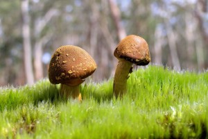 世界体能恢复科研样本库数据共享规则更新公示，世界体能比赛